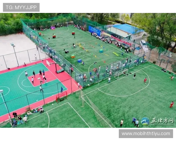 体育电子游戏平台在推广全民健身与体育文化中的作用及其对体育产业的积极影响